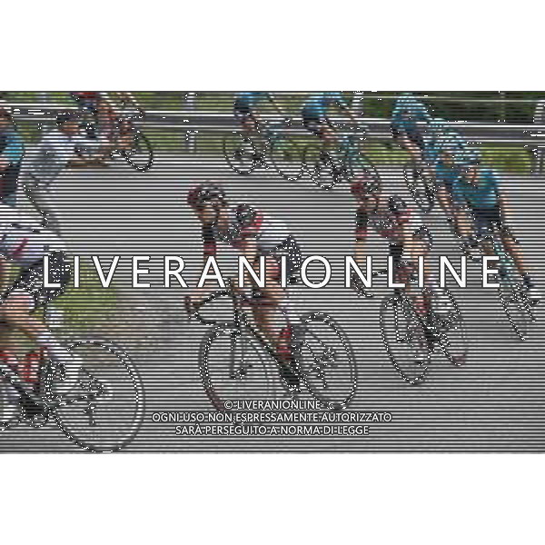 24-05-2022 Giro D\'italia; Tappa 16 Salo - Aprica; 2022, Uae Emirates; Covi, Alessandro; Ulissi, Diego; ©SIROTTI/AGENZIA ALDO LIVERANI SAS