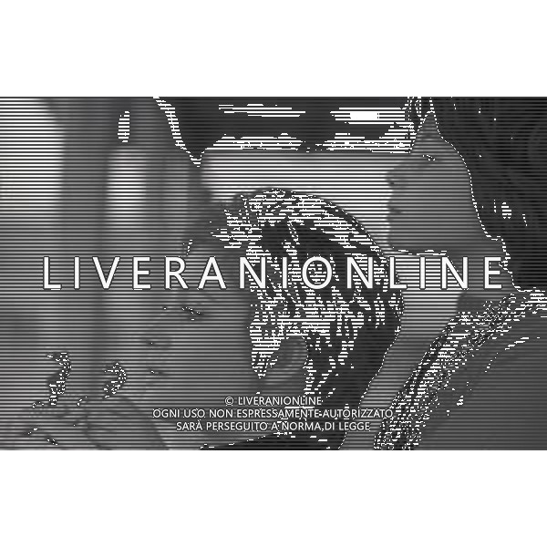 RETROSPETTIVA CARLA GRAVINA ATTRICE NELLA FOTO CARLA GRAVINA NELL\'ANNO 1970 A ROMA CON LA FIGLIA GIOVANNA AG ALDO LIVERANI SAS 