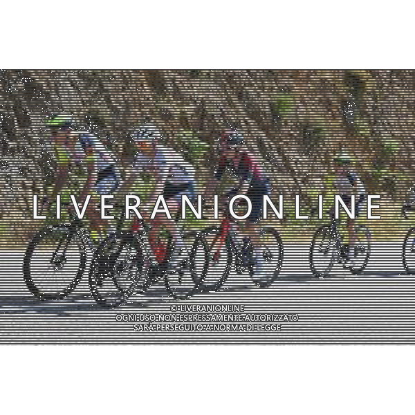 05-06-2022 Criterium Du Dauphine Libere; Tappa 01 La Voulte Sur Rhone - Beauchastel; 2022, Trek - Segafredo; Tolhoeck, Antwan; ©SIROTTI/AGENZIA ALDO LIVERANI SAS