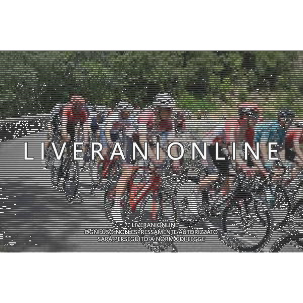 05-06-2022 Criterium Du Dauphine Libere; Tappa 01 La Voulte Sur Rhone - Beauchastel; 2022, Trek - Segafredo; Skujins, Toms; ©SIROTTI/AGENZIA ALDO LIVERANI SAS