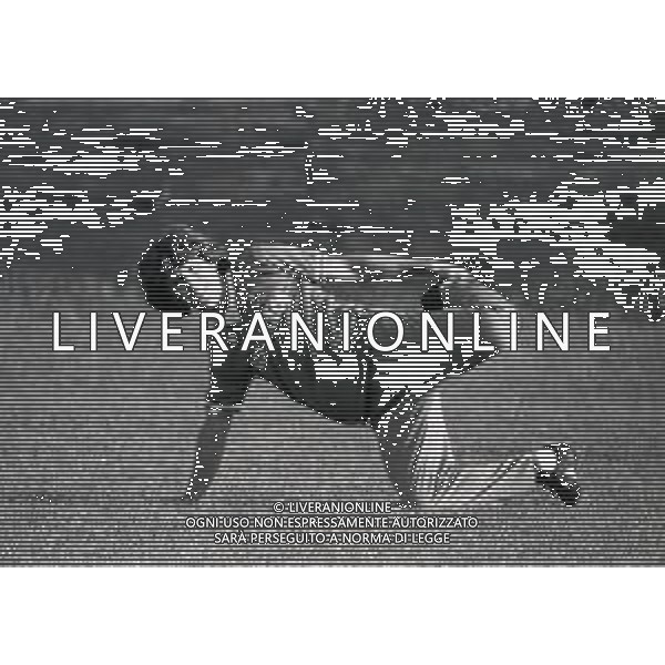 1983 UDINE ALLENAMENTO UDINESE CALCIO NELLA FOTO ZICO AG ALDO LIVERANI SAS