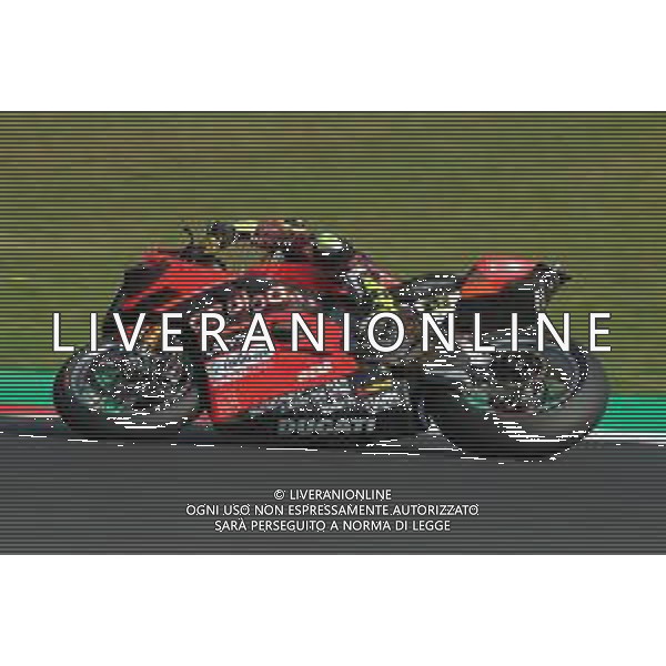 MISANO - Campionato Mondiale Superbike 12/06/2022 - nella foto: bautista durante il warmup ©Claudio Zamagni/Agenzi Aldo Liverani s.a.s.