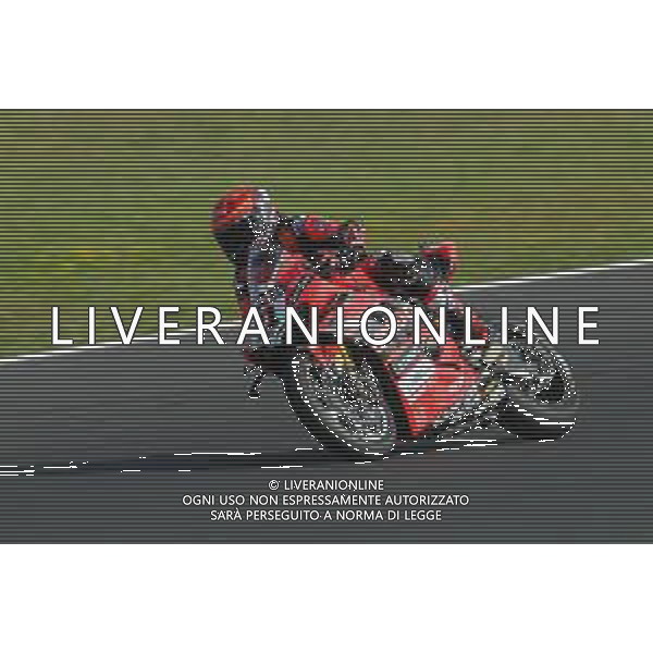 MISANO - Campionato Mondiale Superbike 12/06/2022 - nella foto: michael ruben rinaldi ©Claudio Zamagni/Agenzi Aldo Liverani s.a.s.