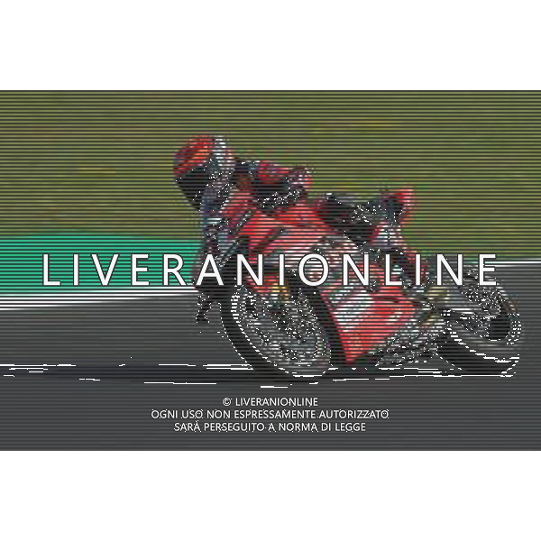 MISANO - Campionato Mondiale Superbike 12/06/2022 - nella foto: michael ruben rinaldi ©Claudio Zamagni/Agenzi Aldo Liverani s.a.s.