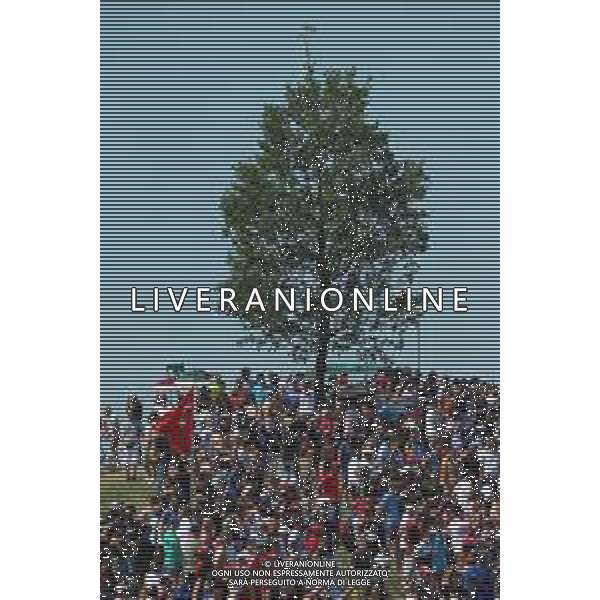 MISANO - Campionato Mondiale Superbike 12/06/2022 - nella foto: la quercia del sic ©Claudio Zamagni/Agenzi Aldo Liverani s.a.s.