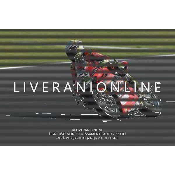 MISANO - Campionato Mondiale Superbike 12/06/2022 - nella foto: Álvaro Bautista ©Claudio Zamagni/Agenzi Aldo Liverani s.a.s. /AGENZIA ALDO LIVERANI SAS