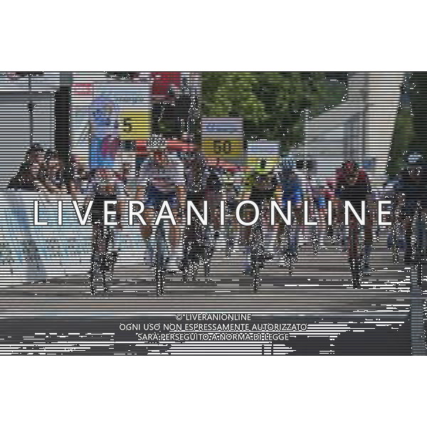 14-06-2022 Tour De Suisse; Tappa 03 Aesch - Grenchen; 2022, Totalenergie; 2022, Intermarche - Wanty Gobert; 2022, Cofidis; Sagan, Peter; Kristoff, Alexander; Coquard, Bryan; Grenchen; ©SIROTTI/AGENZIA ALDO LIVERANI SAS