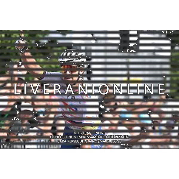 14-06-2022 Tour De Suisse; Tappa 03 Aesch - Grenchen; 2022, Totalenergie; Sagan, Peter; Grenchen; ©SIROTTI/AGENZIA ALDO LIVERANI SAS
