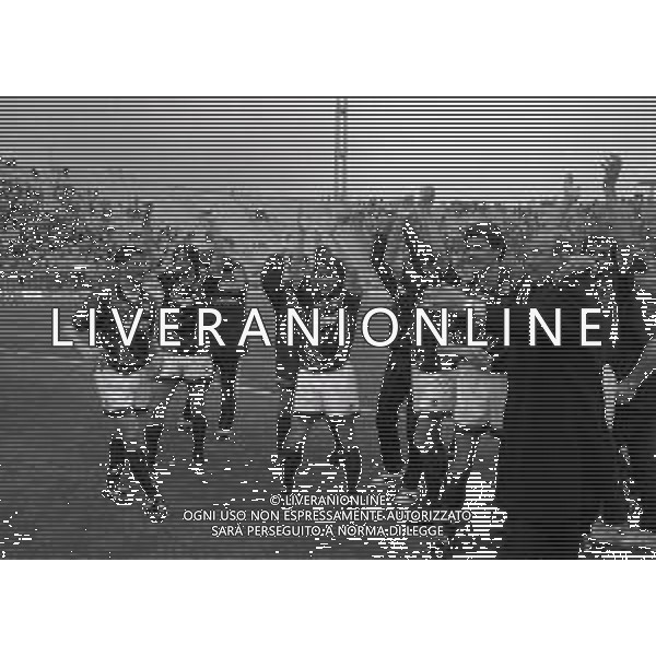 30-04-1995 BOLOGNA CAMPIONATO DI SERIE C BOLOGNA-LEFFE 1-0 NELLA FOTO I GIOCATORI DEL BOLOGNA FESTEGGIANO LA PROMOZIONE IN SERIE B AG ALDO LIVERANI SAS