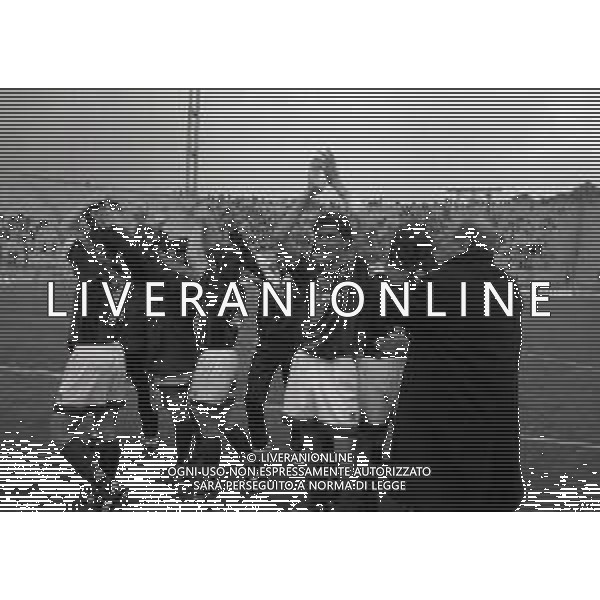 30-04-1995 BOLOGNA CAMPIONATO DI SERIE C BOLOGNA-LEFFE 1-0 NELLA FOTO I GIOCATORI DEL BOLOGNA FESTEGGIANO LA PROMOZIONE IN SERIE B AG ALDO LIVERANI SAS
