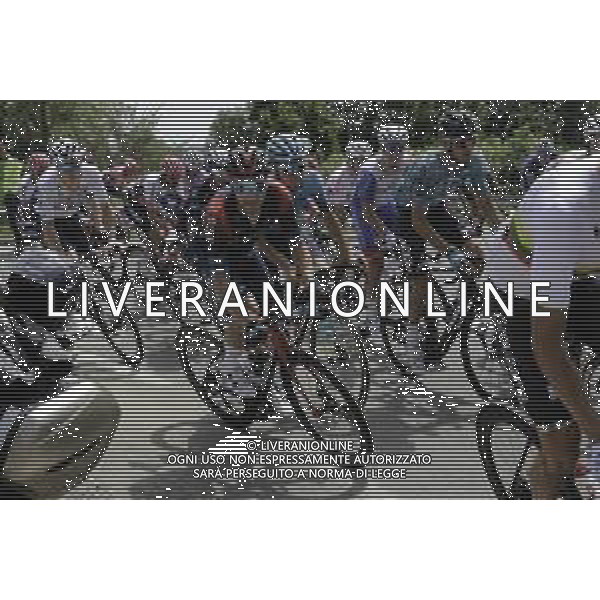 16-06-2022 La Route D\'occitanie; Tappa 01 Semeac - L\'isle Jourdain; 2022, Ineos - Grenadiers; Viviani, Elia; ©SIROTTI/AGENZIA ALDO LIVERANI SAS