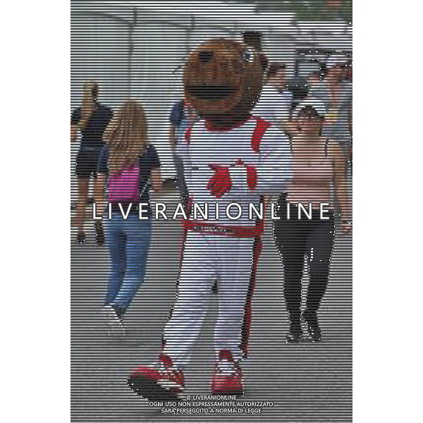 Paddock atmosphere - Marmot Mascot. 17.06.2022. Formula 1 World Championship, Rd 9, Canadian Grand Prix, Montreal, Canada, Practice Day. - www.xpbimages.com, EMail: requests@xpbimages.com © Copyright: Batchelor / XPB Images/AGENZIA ALDO LIVERANI SAS - ITALY ONLY EDITORIAL USE ONLY