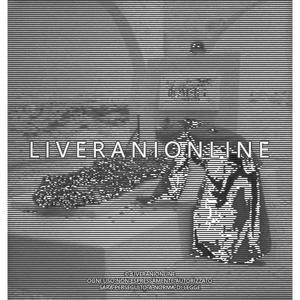 1950 EGITTO EL ALAMEIN CIMITERO DI GUERRA NELLA FOTO LA TOMBA DEL GENERALE ERWIN ROMMEL FOTO SANDRO VESPASIANI-AG ALDO LIVERANI SAS