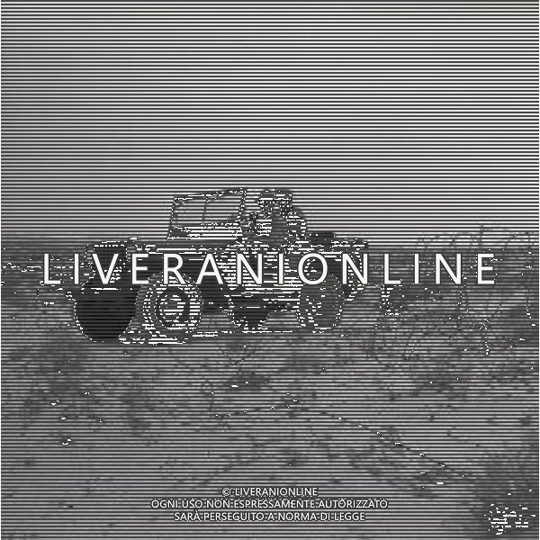 1950 EGITTO EL ALAMEIN CIMITERO DI GUERRA FOTO SANDRO VESPASIANI-AG ALDO LIVERANI SAS
