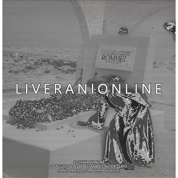 1950 EGITTO EL ALAMEIN CIMITERO DI GUERRA NELLA FOTO LA TOMBA DEL GENERALE ERWIN ROMMEL FOTO SANDRO VESPASIANI-AG ALDO LIVERANI SAS
