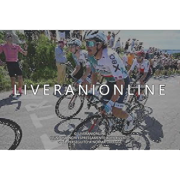 02-07-2022 Tour De France; Tappa 02 Roskilde - Nyborg; 2022, Bora - Hansgrohe; Haller, Marco; Karup Strandbakke; ©SIROTTI/AGENZIA ALDO LIVERANI SAS