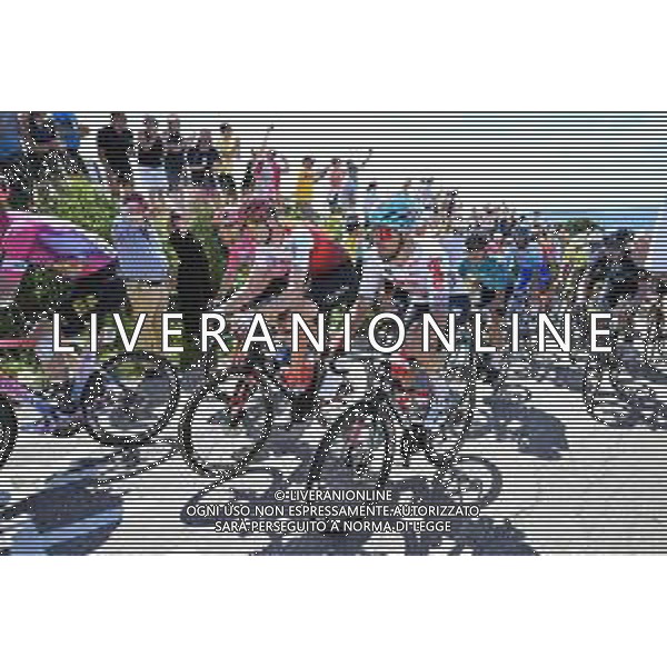 02-07-2022 Tour De France; Tappa 02 Roskilde - Nyborg; 2022, Lotto - Soudal; Reinardt Janse, Van Rensburg; Karup Strandbakke; ©SIROTTI/AGENZIA ALDO LIVERANI SAS