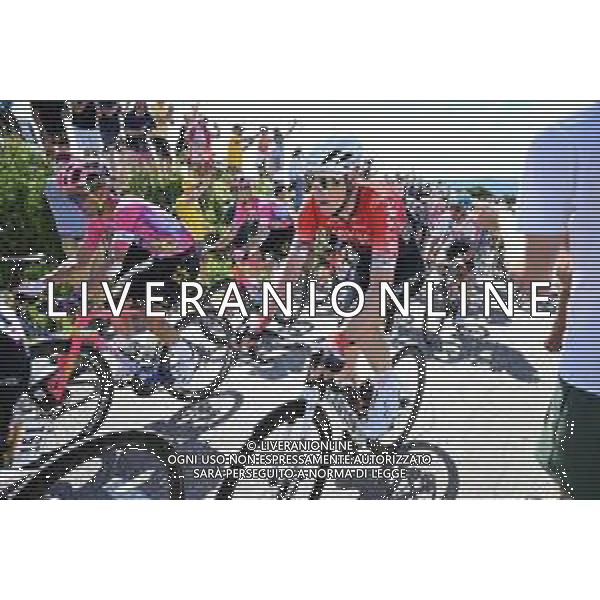 02-07-2022 Tour De France; Tappa 02 Roskilde - Nyborg; 2022, Arkea - Samsic; Swift, Connor; Karup Strandbakke; ©SIROTTI/AGENZIA ALDO LIVERANI SAS