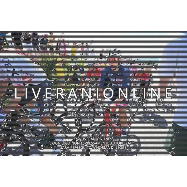 02-07-2022 Tour De France; Tappa 02 Roskilde - Nyborg; 2022, Trek - Segafredo; Skujins, Toms; Karup Strandbakke; ©SIROTTI/AGENZIA ALDO LIVERANI SAS