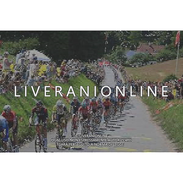 03-07-2022 Tour De France; Tappa 03 Vejle - Sonderborg; 2022, Ineos - Grenadiers; 2022, Lotto - Soudal; Ganna, Filippo; Ewan, Caleb; ©SIROTTI/AGENZIA ALDO LIVERANI SAS