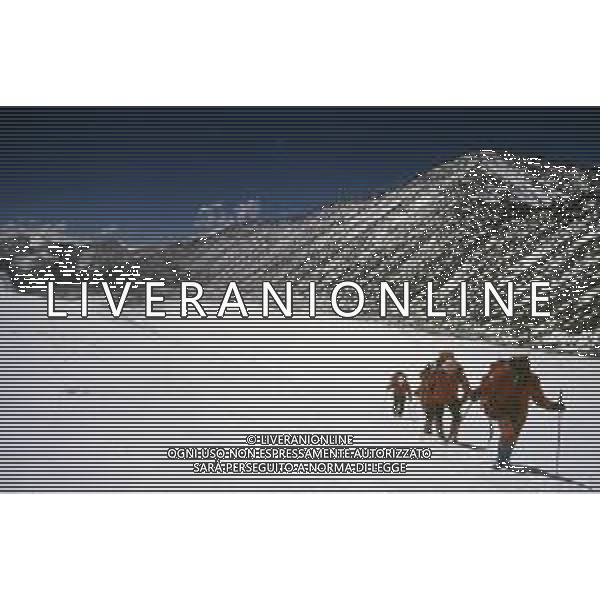GHIACCIAI SPEDIZIONI DI ALPINISMO SCALATORI RETROSPETTIVA AGENZIA GIOVANNI-LIVERANI-AG ALDO LIVERANI SAS