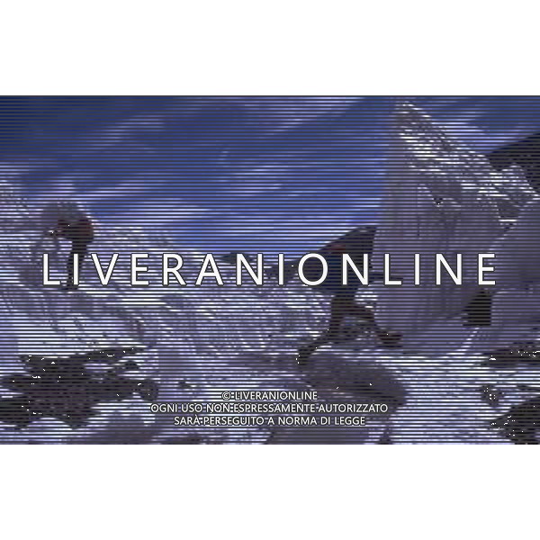 GHIACCIAI SPEDIZIONI DI ALPINISMO SCALATORI RETROSPETTIVA AGENZIA GIOVANNI-LIVERANI-AG ALDO LIVERANI SAS