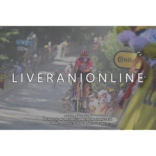 08-07-2022 Tour De France; Tappa 07 Tomblaine - La Super Planche Des Belles Filles; 2022, Ef Education - Easypost; Guerreiro, Ruben; La Super Planche Des Belles Filles; ©SIROTTI/AGENZIA ALDO LIVERANI SAS
