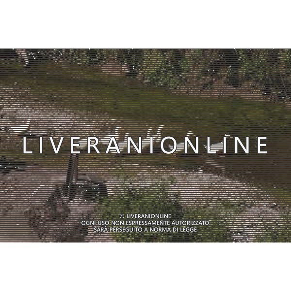 CAUSA SICCITA\' QUASI PROSCIUGATO IL TORRENTE CROSTOLO, AFFLUENTE DI DESTRA DEL FIUME PO, CHE ATTRAVERSA REGGIO EMILIA 10.07.2022 NELLA FOTO OCHE E PAPERE ©SANTANDREA/AGENZIA ALDO LIVERANI SAS