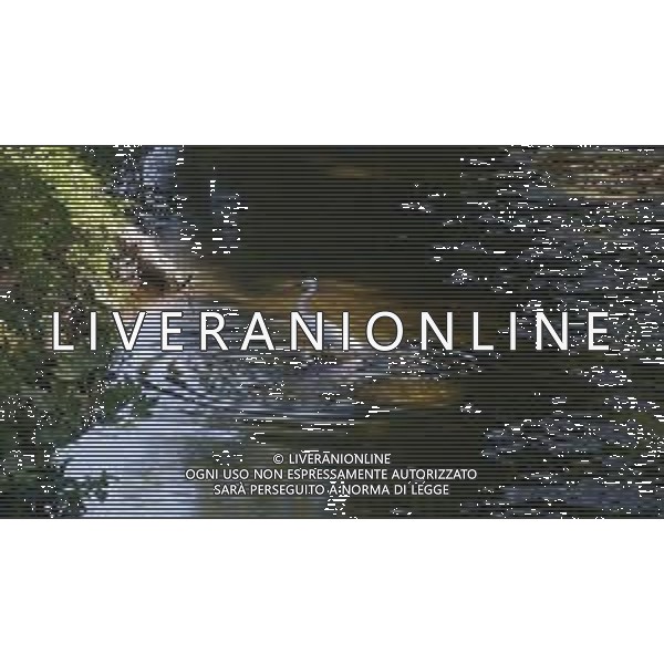 CAUSA SICCITA\' QUASI PROSCIUGATO IL TORRENTE CROSTOLO, AFFLUENTE DI DESTRA DEL FIUME PO, CHE ATTRAVERSA REGGIO EMILIA 10.07.2022 ©SANTANDREA/AGENZIA ALDO LIVERANI SAS