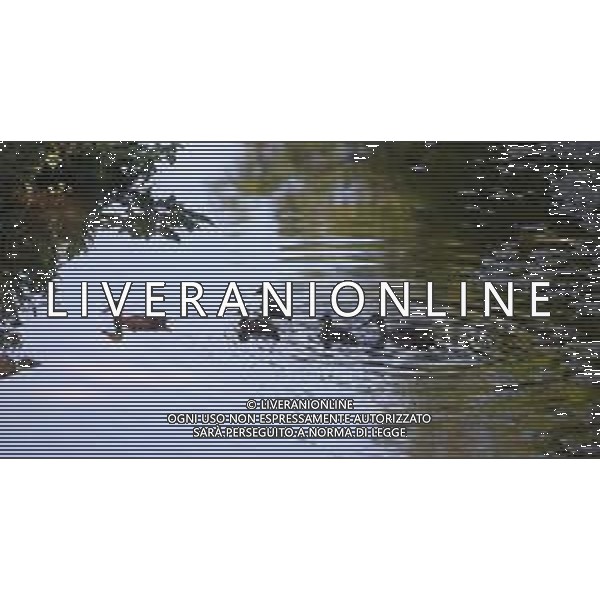 CAUSA SICCITA\' QUASI PROSCIUGATO IL TORRENTE CROSTOLO, AFFLUENTE DI DESTRA DEL FIUME PO, CHE ATTRAVERSA REGGIO EMILIA 10.07.2022 NELLA FOTO OCHE E PAPERE ©SANTANDREA/AGENZIA ALDO LIVERANI SAS