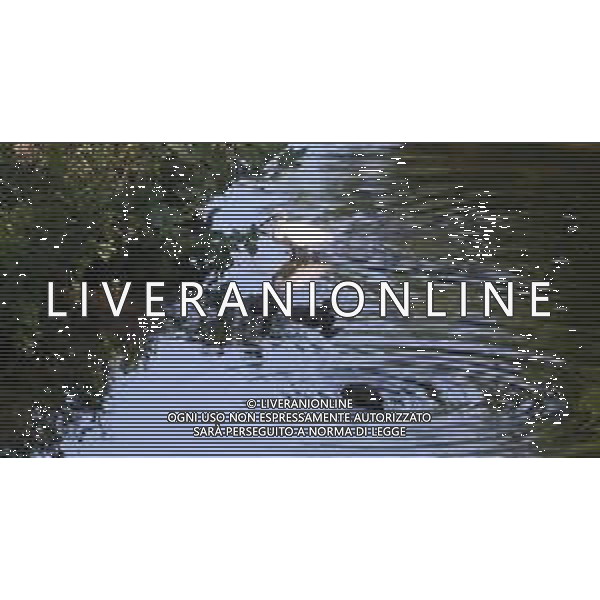 CAUSA SICCITA\' QUASI PROSCIUGATO IL TORRENTE CROSTOLO, AFFLUENTE DI DESTRA DEL FIUME PO, CHE ATTRAVERSA REGGIO EMILIA 10.07.2022 ©SANTANDREA/AGENZIA ALDO LIVERANI SAS