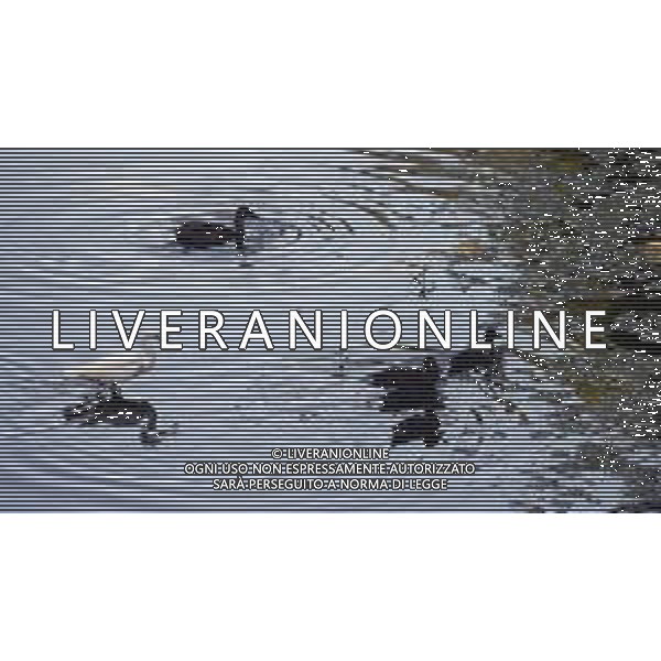 CAUSA SICCITA\' QUASI PROSCIUGATO IL TORRENTE CROSTOLO, AFFLUENTE DI DESTRA DEL FIUME PO, CHE ATTRAVERSA REGGIO EMILIA 10.07.2022 ©SANTANDREA/AGENZIA ALDO LIVERANI SAS