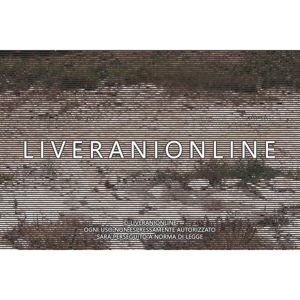 CAUSA SICCITA\' QUASI PROSCIUGATO IL TORRENTE CROSTOLO, AFFLUENTE DI DESTRA DEL FIUME PO, CHE ATTRAVERSA REGGIO EMILIA 10.07.2022 ©SANTANDREA/AGENZIA ALDO LIVERANI SAS