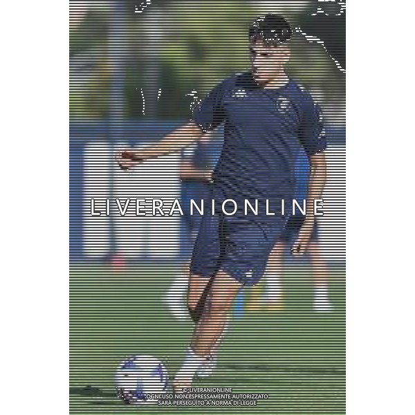 Lisa Guglielmi/LMedia - First training session of Empoli FC - Other<stagioneSportiva> July 09 2022 - Sussidiario Empoli, Italy First training session of Empoli FC Photo showing: Fabiano Parisi (Empoli FC) @Lisa Guglielmi/LiveMedia AG ALDO LIVERANI SAS