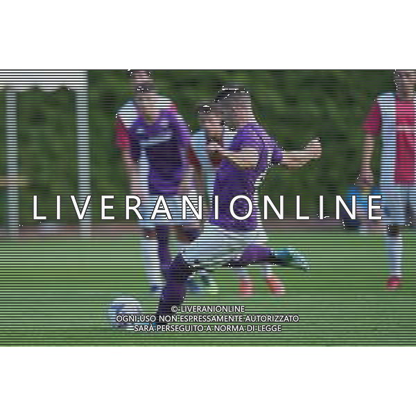 FIORENTINA - REAL VICENZA AMICHEVOLE PRECAMPIONATO A MOENA 12.07.2022 NELLA FOTO il gol su rigore di Luka Jovic ©MOSCA /AGENZIA ALDO LIVERANI SAS