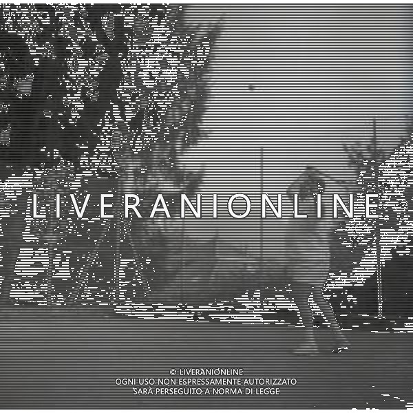 RETROSPETTIVA GINO BRAMIERI ATTORE NELLA FOTO GINO BRAMIERI A CUNARDO IL 02-08-1964 GIOCA A TENNIS CON IL FIGLIO CESARE AG ALDO LIVERANI SAS