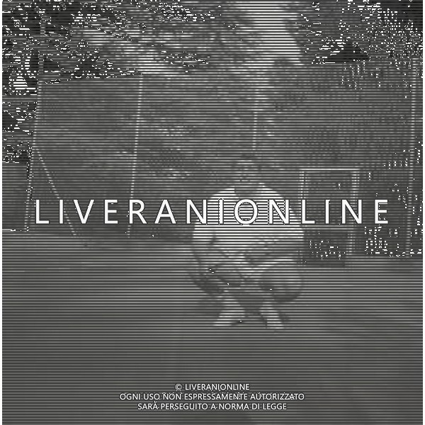 RETROSPETTIVA GINO BRAMIERI ATTORE NELLA FOTO GINO BRAMIERI A CUNARDO IL 02-08-1964 GIOCA A TENNIS CON IL FIGLIO CESARE AG ALDO LIVERANI SAS