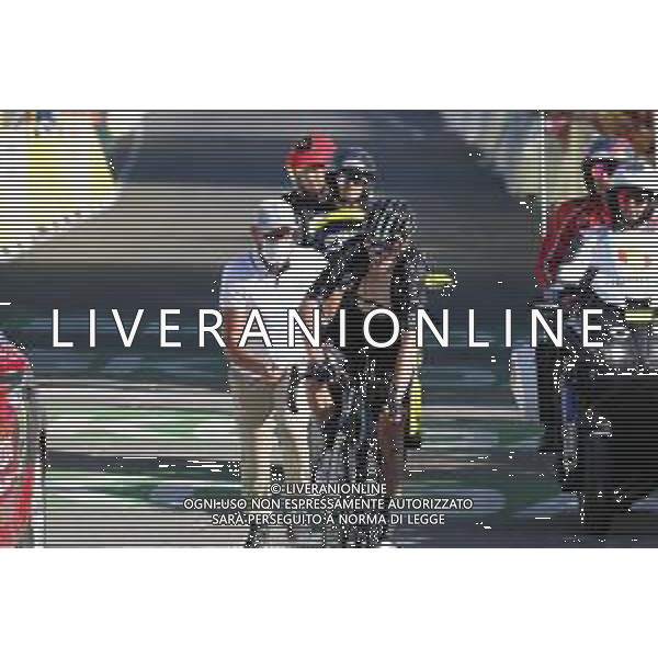 14-07-2022 Tour De France; Tappa 12 Briancon - L\'alpe D\'huez; 2022, Dsm; Bardet, Romain; L\'alpe D\'huez; /AGENZIA ALDO LIVERANI SAS