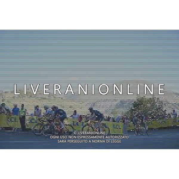 14-07-2022 Tour De France; Tappa 12 Briancon - L\'alpe D\'huez; 2022, Trek - Segafredo; L\'alpe D\'huez; ©SIROTTI/AGENZIA ALDO LIVERANI SAS