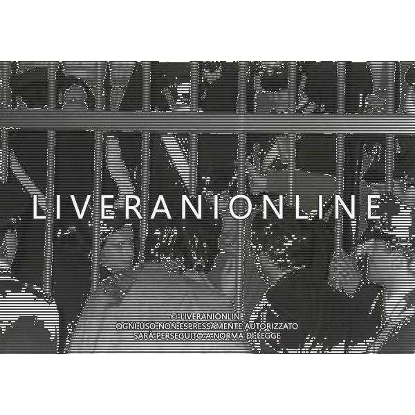 RETROSPETTIVA CORRADO ALUNNI TERRORISTA E AFFILIATO ALLE BRIGATE ROSSE NELLA FOTO CORRADO ALUNNI NELL\'ANNO 1980 A MILANO AG ALDO LIVERANI SAS