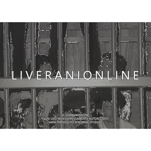 RETROSPETTIVA CORRADO ALUNNI TERRORISTA E AFFILIATO ALLE BRIGATE ROSSE NELLA FOTO CORRADO ALUNNI CON MARINA ZONI NELL\'ANNO 1980 A MILANO AG ALDO LIVERANI SAS