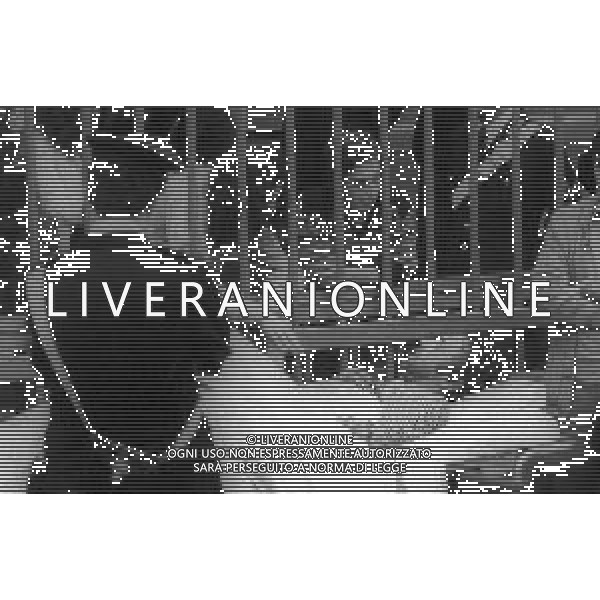 RETROSPETTIVA CORRADO ALUNNI TERRORISTA E AFFILIATO ALLE BRIGATE ROSSE NELLA FOTO CORRADO ALUNNI CON MARINA ZONI NELL\'ANNO 1980 IN TRIBUNALE A MILANO FERITO DOPO L\'EVASIONE DAL CARCERE DI SAN VITTORE AG ALDO LIVERANI SAS 
