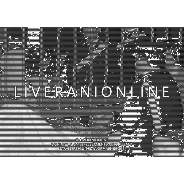 RETROSPETTIVA CORRADO ALUNNI TERRORISTA E AFFILIATO ALLE BRIGATE ROSSE NELLA FOTO CORRADO ALUNNI CON MARINA ZONI NELL\'ANNO 1980 IN TRIBUNALE A MILANO FERITO DOPO L\'EVASIONE DAL CARCERE DI SAN VITTORE AG ALDO LIVERANI SAS 
