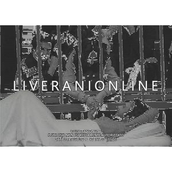 RETROSPETTIVA CORRADO ALUNNI TERRORISTA E AFFILIATO ALLE BRIGATE ROSSE NELLA FOTO CORRADO ALUNNI CON MARINA ZONI NELL\'ANNO 1980 IN TRIBUNALE A MILANO FERITO DOPO L\'EVASIONE DAL CARCERE DI SAN VITTORE AG ALDO LIVERANI SAS 