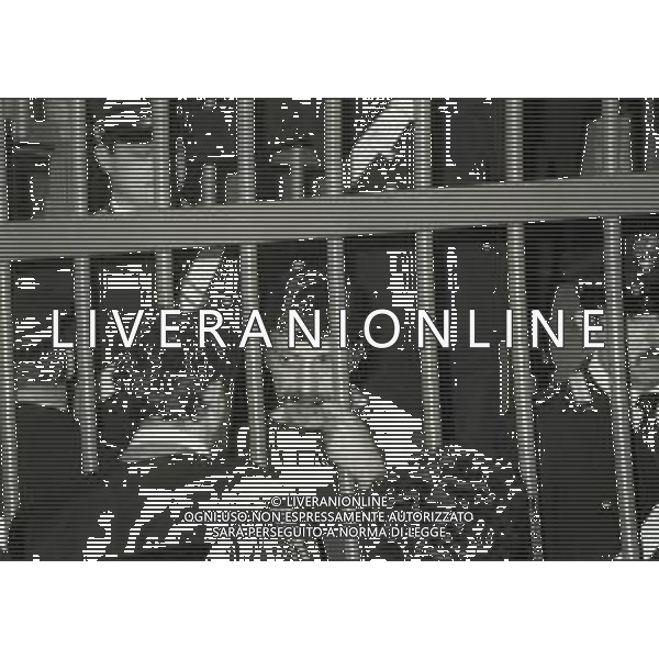 RETROSPETTIVA CORRADO ALUNNI TERRORISTA E AFFILIATO ALLE BRIGATE ROSSE NELLA FOTO CORRADO ALUNNI NELL\'ANNO 1981 AG ALDO LIVERANI SAS 