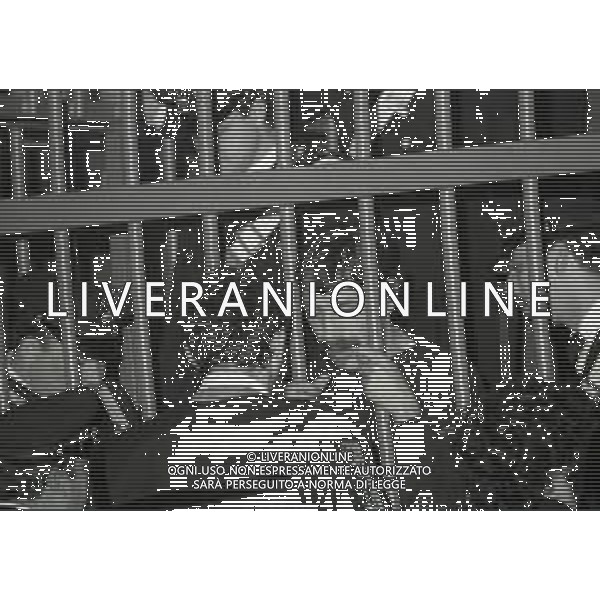 RETROSPETTIVA CORRADO ALUNNI TERRORISTA E AFFILIATO ALLE BRIGATE ROSSE NELLA FOTO CORRADO ALUNNI NELL\'ANNO 1981 AG ALDO LIVERANI SAS 