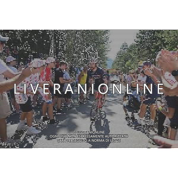 16-07-2022 Tour De France; Tappa 14 Saint-etienne - Mende; 2022, Trek - Segafredo; Simmons, Quinn; Cote De La Croix Neuve; ©SIROTTI/AGENZIA ALDO LIVERANI SAS