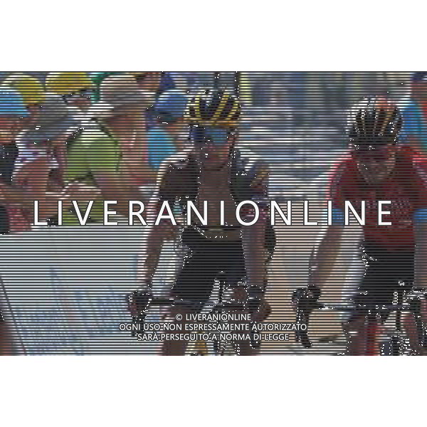 16-07-2022 Tour De France; Tappa 14 Saint-etienne - Mende; 2022, Jumbo - Visma; Roglic, Primoz; Mende; ©SIROTTI/AGENZIA ALDO LIVERANI SAS