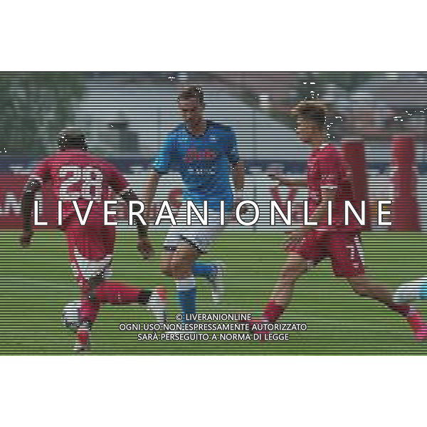 Ritiro Napoli Calcio, Dimaro 2022 Napoli, Perugia Nella foto: Fabian Ruiz, Onishchenko Foto Mosca, Ag.Liverani
