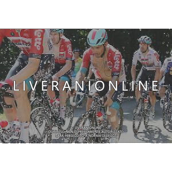 19-07-2022 Tour De France; Tappa 16 Carcassonne - Foix; 2022, Lotto - Soudal; Ewan, Caleb; Mur De Peguere; ©SIROTTI/AGENZIA ALDO LIVERANI SAS
